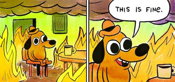 Image result for this is fine dog